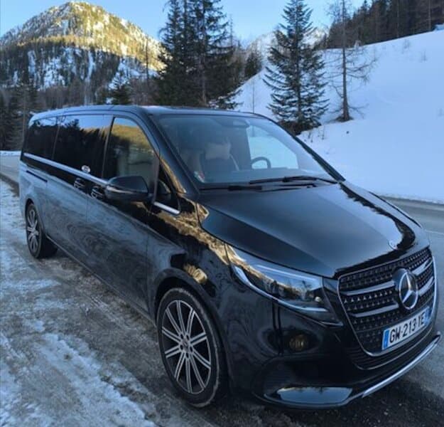 Professional Service