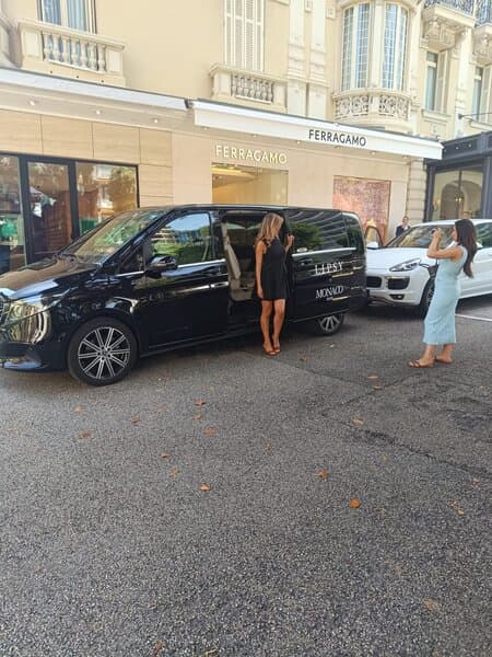 Professional Chauffeur